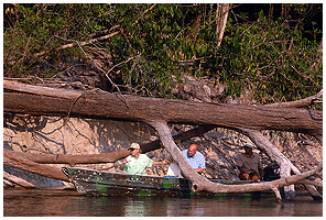 In numerous places, fallen trees blocked or made our way with the boats quite difficult.