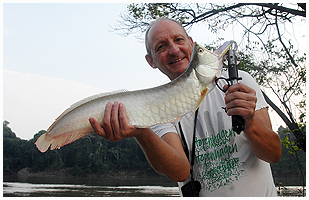 This is an air acrobat - the silver arowana - spending as much of the time during the fight in the air as in the water!