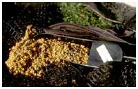 Micro seed baits - the ultimate dust baits for many species.