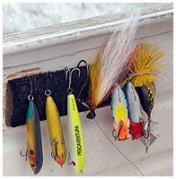 Poppers, wobblers and surfece lures of all kinds will work here - as will of course popper-flies!