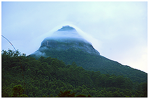 Adam's Peak - also called Sri Prada - in a truly devine light of the late afternoon, where the clods formed this striking formation of light aound the sacred mountain!