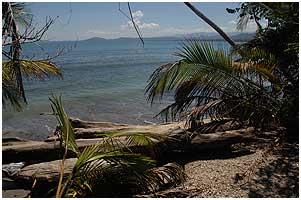 The Cahuita reserce is bordered by the Carribean sea.