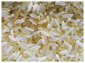 Parboiled rice - Oryza sativa.
