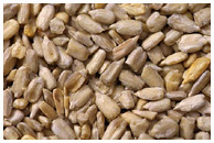 Decorticated sunflower seeds - Helianthus annuus