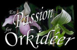 En Passion for Orkidéer - af Kenth Esbensen